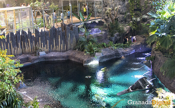 Turquoise pool framed by rockwork and planting at the Biodome of Granada