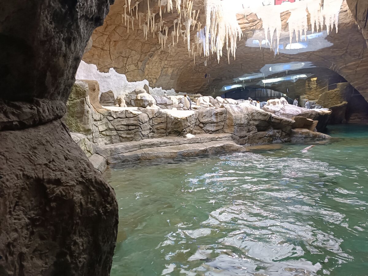 Sculpted cave interior with rock textures and water at Pairi Daiza