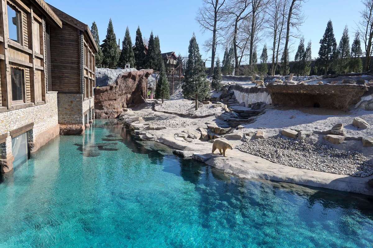 Turquoise rock pool set among trees at Pairi Daiza