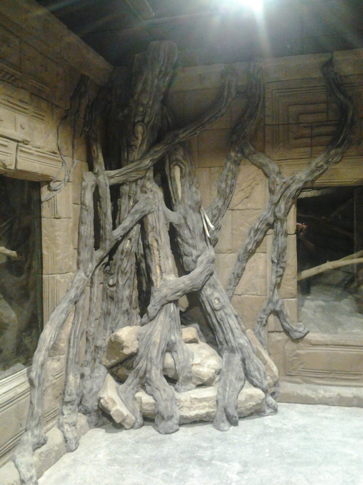Sculpted root structure rising through an aquarium display at Seville Aquarium